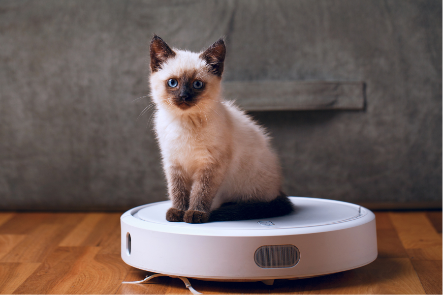 Best Robot Vacuum 2025