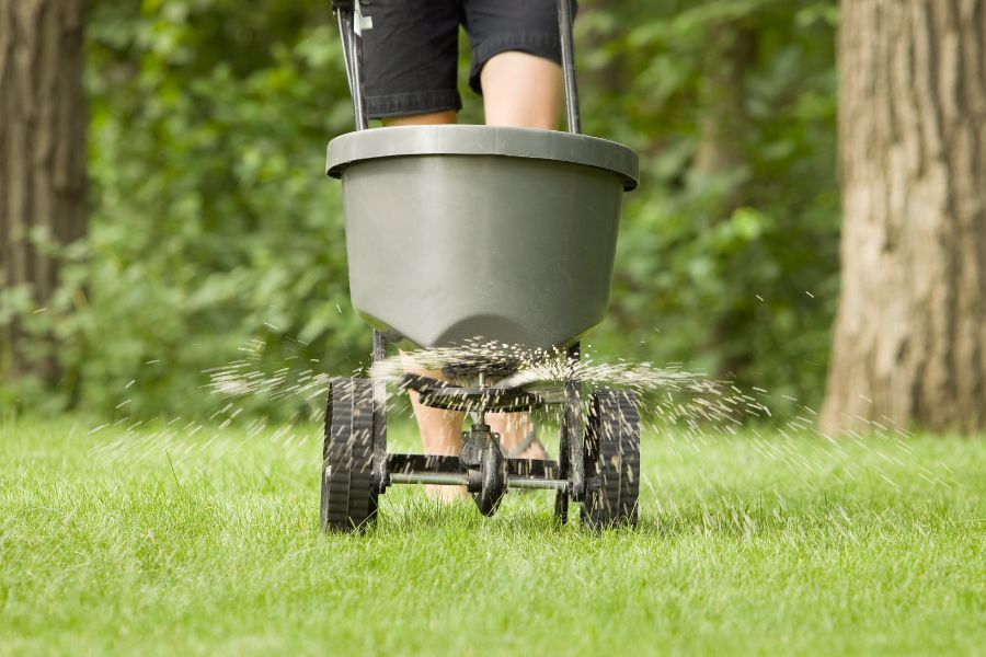Fall Fertilizing: What Your Yard Needs To Grow